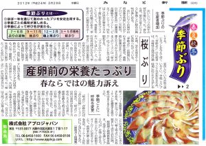 みなと新聞 20120329 季節ぶり②「桜ぶり」産卵前の栄養たっぷり、春ならではの魅力訴え